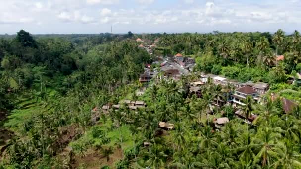 Tropické Bali Džungle Ubud Terasy Blízkosti Obytných Domů Letecký Pohled — Stock video