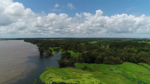Drone Floresta Amazônica Inundada Rio Negro Amazonas Brasil Com Fundo — Vídeo de Stock