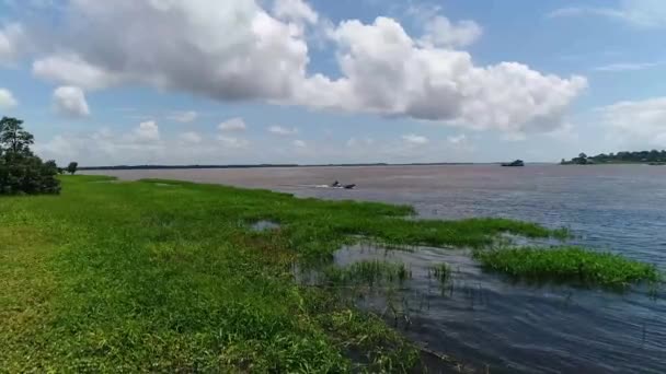 Zielona Roślinność Wodna Uprawiana Brzegu Rzeki Amazonka Brazylia Łódź Pływająca — Wideo stockowe