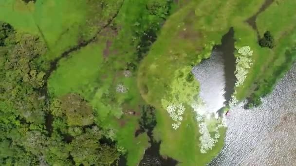Aerial Drone Bird Eye View Lush Green Vegetation Riverside Parintins — Stock Video
