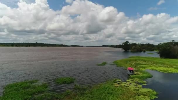 Rio Amazonas Brasil Forrado Com Vegetação Aquática Exuberante Barco Parado — Vídeo de Stock