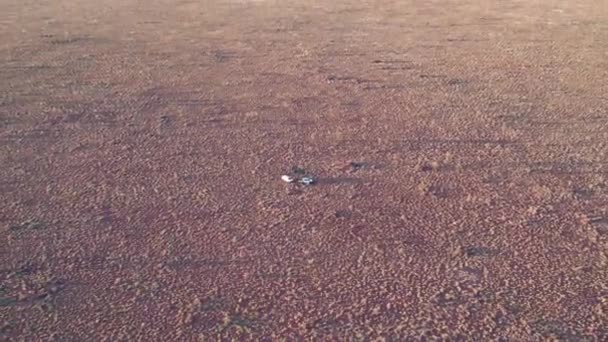 オーストラリア ノーザンテリトリーのタナミ砂漠で2台の車とキャンプを梱包している人々の空中映像を反転させます 2022年8月 — ストック動画
