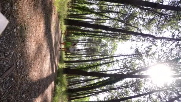 Pareja Joven Vertical Relación Caminando Afuera Bosque Trekking Día Soleado — Vídeo de stock
