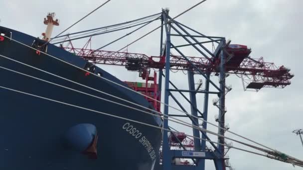 ハンブルク港にクレーンで積み込まれている貨物船の低角度ビュー — ストック動画