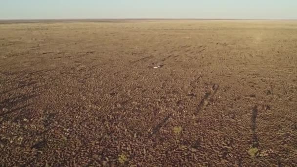 オーストラリア ノーザンテリトリーのタナミ砂漠に2台の車と人々のドローン飛行隊がキャンプを設置しました 2022年8月 — ストック動画