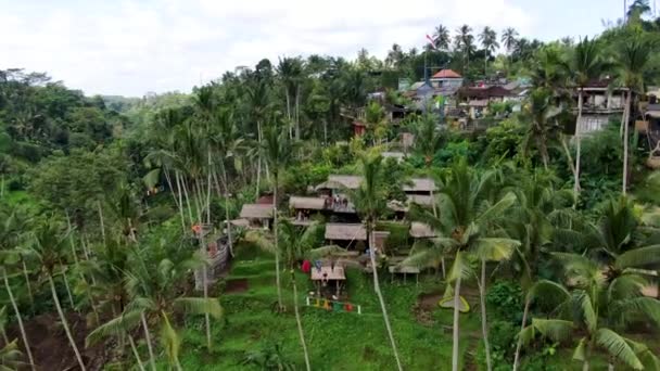 Tepenin Yamacındaki Konik Bali Kasabası Palmiye Ağaçları Ile Kaplı Hava — Stok video