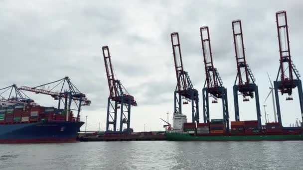 Guindastes Navios Carga Porto Hamburgo — Vídeo de Stock