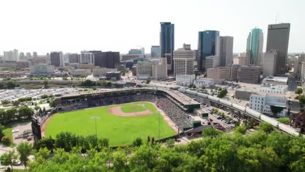 Downtown Winnipeg Musim Panas Skyline Shot Dengan Ballpark Kereta Api — Stok Video