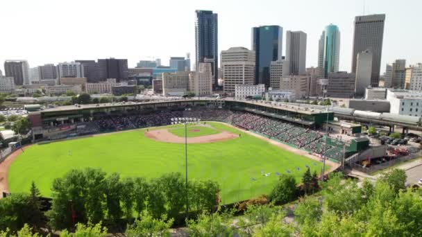Jogo Basebol Beautiful Minor League Ballpark Winnipeg Canadá — Vídeo de Stock
