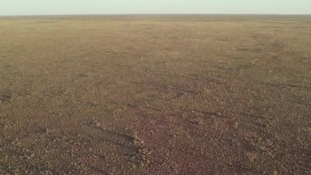 Cofam Wznoszę Się Powietrze Pustyni Tanami Terytorium Północne Australia Sierpień — Wideo stockowe