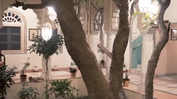 Pan Skott Trädgården Alsisar Palats Hotell Jaipur Indien Träd Växter — Stockvideo