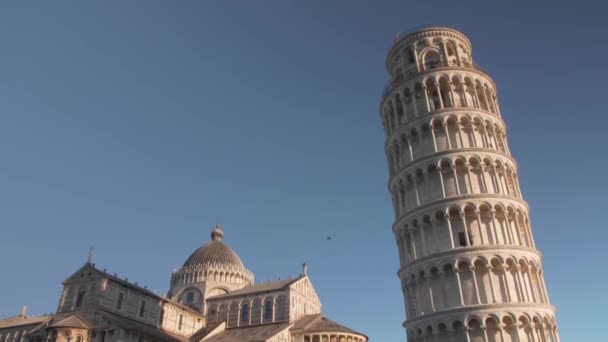 Todavía Disparado Con Pájaro Cruzando Derecha Frente Torre Inclinada Pisa — Vídeo de stock