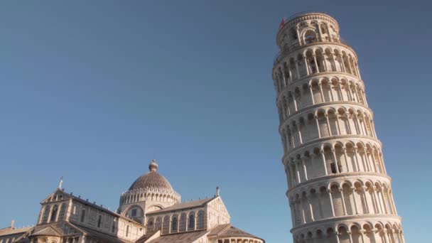 Todavía Tiro Torre Inclinada Pisa Tugurio Con Tres Pájaros Volando — Vídeo de stock