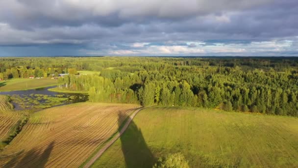 Strante Wiatrak Wiejskim Krajobrazie Złotej Łąki Branti Parish Smiltene Łotwa — Wideo stockowe