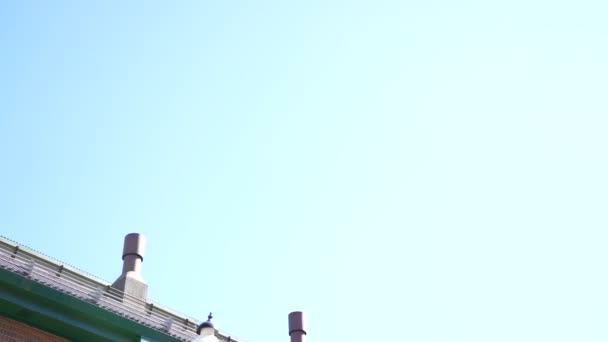 多伦多 横穿圣劳伦斯市场大楼标志 — 图库视频影像