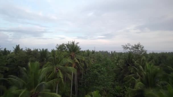西巴厘岛热带雨林热带雨林在岛屿天堂印度尼西亚旅游度假目的地 棕榈树无人驾驶飞机接近 — 图库视频影像