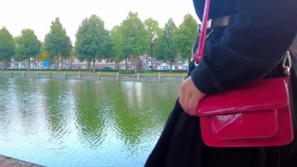 ブラックドレスの女性の腰を閉じます赤い女性のバッグとともに歩くQuayでスローモーション — ストック動画
