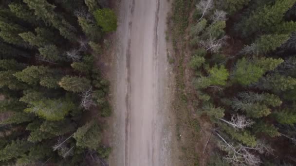 Letecký Pohled Silnici Lese Přímo Mezi Zimou Jarem — Stock video