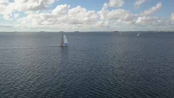 Weißes Segelboot Segelt Mit Frachtern Der Ferne Über Die Blaue — Stockvideo