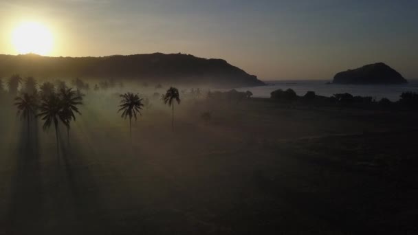 Dramatis Matahari Terbit Bayangan Kabut Pohon Palem Siluet Pantai Lombok — Stok Video