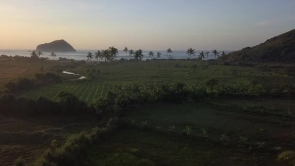 Pacífico Vuelo Aéreo Bajo Través Palmeras Playa Tropical Lombok — Vídeos de Stock