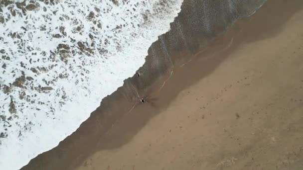 一个落日的沙滩兄弟姐妹的无人机镜头 两个男孩在低潮池中游泳和玩阳光反射游戏 家庭暑假期间的水活动 空中录像 — 图库视频影像