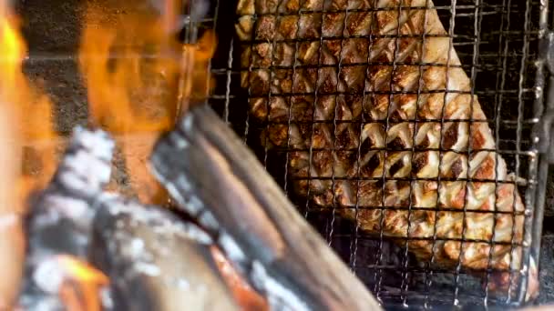 장작불 옆에서 서서히 요리하는 양고기 남아프리카 공화국 유산의 — 비디오