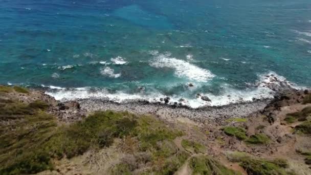 Oszałamiająca Antena Odsłaniająca Rozległą Pokrywę Rafy Koralowej Maui Obszar Wybrzeży — Wideo stockowe