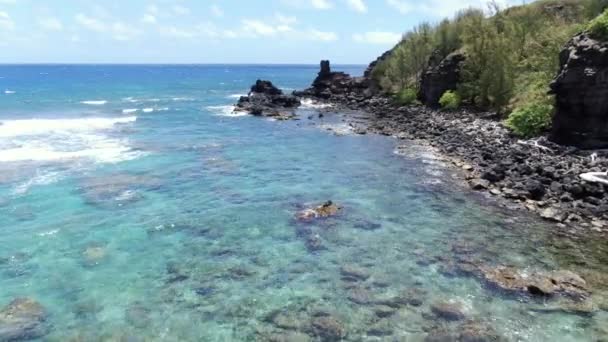 Aviação Punalau Beach Havaí Formações Rochosas Lava Recifes Corais Piscinas — Vídeo de Stock