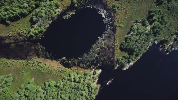 Widok Góry Odległe Jezioro Otoczone Lasami Drzewami — Wideo stockowe