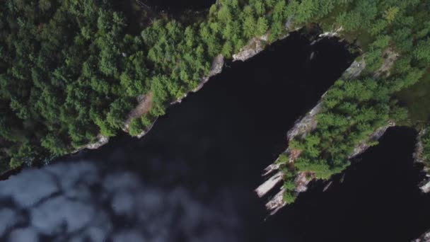 Odgórny Widok Drona Odległe Jeziora Otoczeniu Lasów Drzew Pięknymi Odbiciami — Wideo stockowe