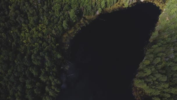 Grúa Vista Del Dron Hermoso Lago Remoto Bosques Árboles Circundantes — Vídeo de stock