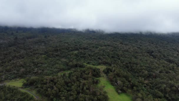 Park Stanowy Polipoli Lesie Kula Maui Statyczne Nagrania Lotnicze Zachmurzonego — Wideo stockowe