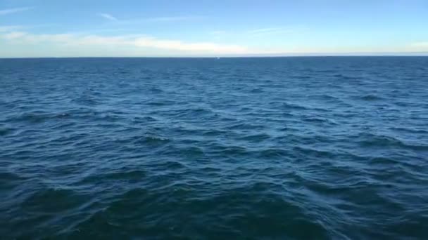 Visão Primeira Pessoa Navegando Superfície Água Horizonte Fundo Dia Ensolarado — Vídeo de Stock