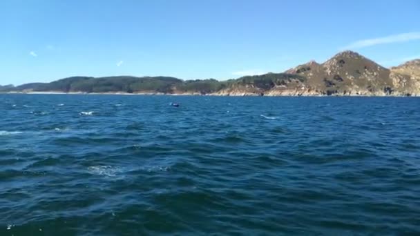 在西班牙加利西亚Pontevedra 在Ras Baixas的Ces群岛附近 在Ras Baixas阳光灿烂的蓝天里 当渔民驾船快速航行时 海面发生了变化 向左方射击 — 图库视频影像