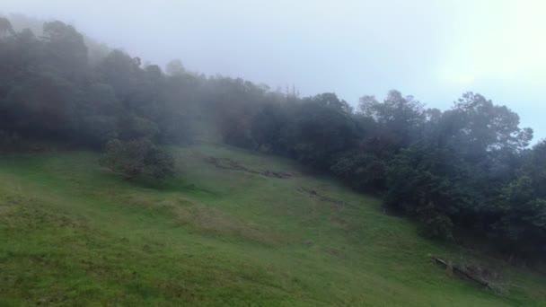 Niebla Rodando Sobre Los Campos Golf Disco Frisbee Polipoli Maui — Vídeos de Stock