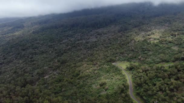 Aerial Polipoli Spring State Recreation Area Maui Továbbra Zárva Után — Stock videók