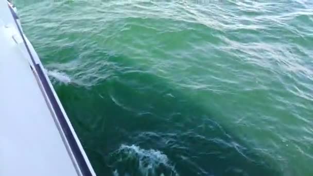 在西班牙加利西亚Pontevedra 一艘在Ras Baixas航行的船上 从船头望去 阳光灿烂的日子里 碧绿的海水散发出泡沫 — 图库视频影像