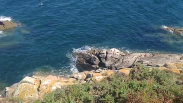 海の崖を飛ぶカモメの後 晴れた日 トップビュー 高ショット左旋回 セス諸島 ポンテベドラ島 ガリシア スペイン — ストック動画