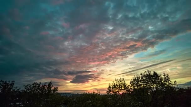 雄伟的五彩斑斓的树梢 天际的落日 朦胧的紫色粉红的天空 — 图库视频影像