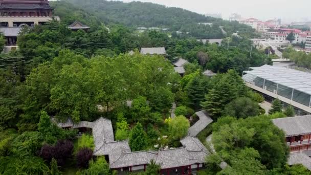 Εναέρια Αργή Αύξουσα Πάνω Από Κινέζικο Κήπο Παγόδα Στα Αριστερά — Αρχείο Βίντεο