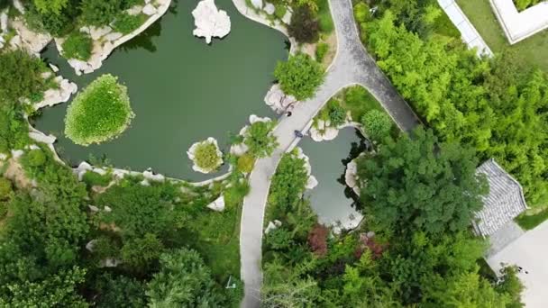 Αεροφωτογραφία Πουλιού Αριστερόστροφη Έλικα Μιας Λίμνης Έναν Όμορφο Κινεζικό Κήπο — Αρχείο Βίντεο