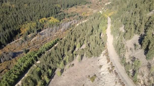 空中发现一条泥泞的路通向远处的银高跟鞋山 落基山脉 于今年秋天在科罗拉多州科莫市附近的Boreas Pass路拍摄 — 图库视频影像