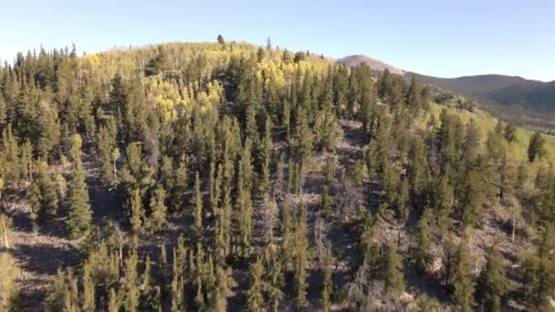 소나무와 황금빛 펜으로 뒤덮인 언덕을 오르는 비행을 떨어져 봉우리들을 수있다 — 비디오