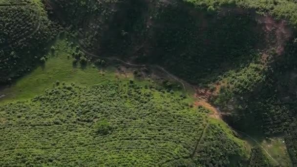 Drohnenbild Aus Der Vogelperspektive Des Sylhet Teestaates Bangladesch Grüner Wald — Stockvideo