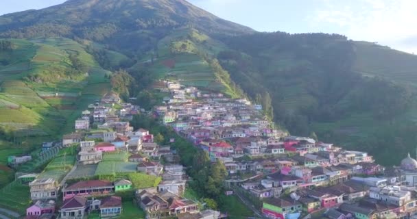 美しいカラフルな村の家や野菜のプランテーションと山の空中ビュー斜面 サムビング山の斜面にネパール ヴァン ジャワとも呼ばれるブフ村 中央ジャワ インドネシア — ストック動画
