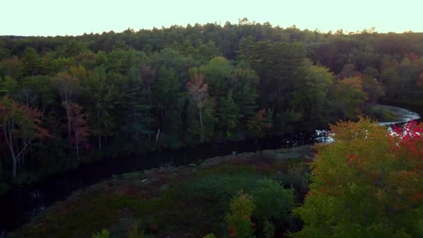 Küçük Bir Nehrin Üzerinden Maine Deki Bir Göl Ormana Doğru — Stok video