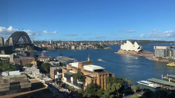 Harbour Bridge Und Opera House Circular Quay Sydney Australien Zeitraffer — Stockvideo