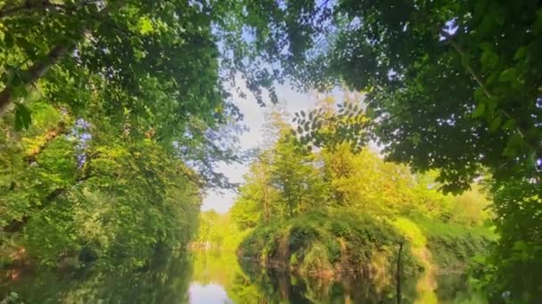 Krásná Reflexe Stromů Oblohy Klidných Vodách Jezera Parku Lille Francie — Stock video