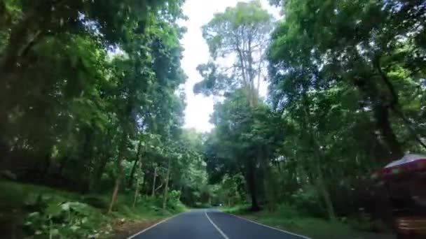 Condução Carro Pov Tiro Através Estrada Florestal Kerala Índia — Vídeo de Stock